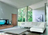 Dominique