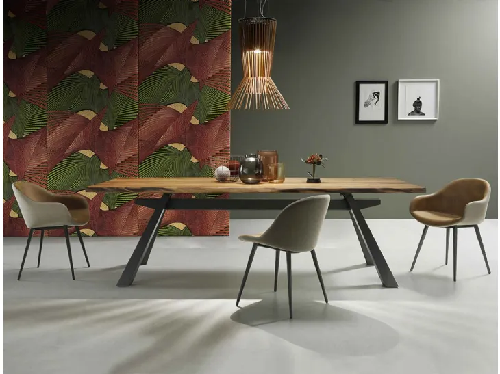 Tavolo Zeus in Rovere di Midj