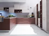 Zenzero Rovere Vinaccia